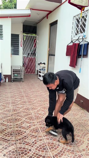 Paano Ikorek ang Pangangagat ng Puppy