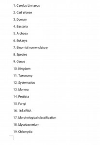 Carolus LinnaeusCarl WoeseDomainBacteriaArchaeaEukaryaBin... | Filo