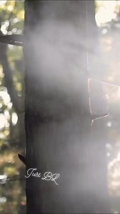 5K views · 120 reactions | All along there was some invisible string tying you to me❤️ Four years since the best day of my life. I love you so much Jeff Happy anniversary✨ Taylor & Jeff #blcouple #lgbtcouple #justBL #boylove #boyboy #boyfriend #BL #lgbt | Just BL | Facebook