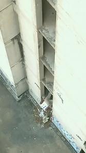 89K views · 1.1K reactions | Pull-up  | Karate Science | Facebook