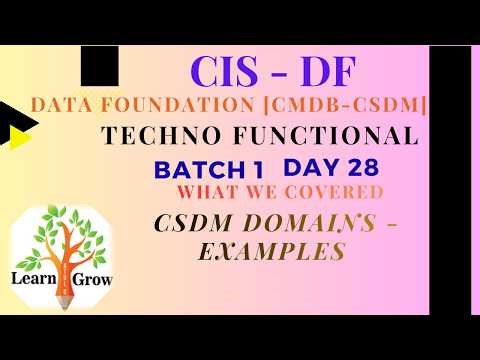 CIS-DF - Day28 - CSDM Domains - Examples