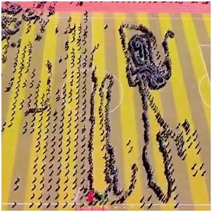 290K views · 731 reactions | Thousands of students playing the real-life snake game  | MetDaan Tips | Facebook