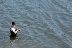 Bass discovered in just one U.S. river coined as new species