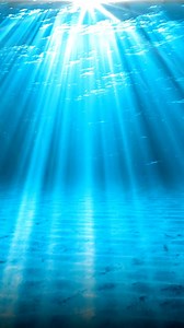 #JAWS isn't just entertaining, it's therapeutic! Written by a licensed counselor, "JAWS Therapy" tells you exactly why it was so important to listen to Quint, how Brody shows a perfect example of exposure therapy, and what to do when help arrives. Intrigued? See the first comment! #jaws50 #selfhelp | The Daily Jaws