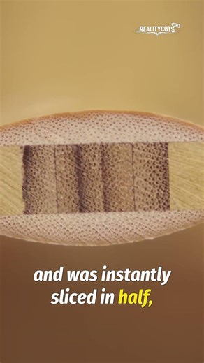 Samurai Yari: True Battlefield Weapon Over Katana