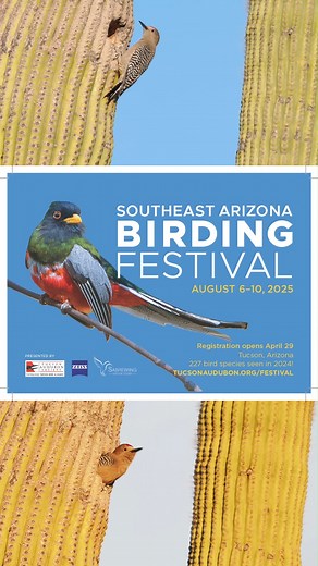 We are less than a month away from the Southeast Arizona Birding Festival, happening right here in Tucson! 🐦 🌵 This is the perfect event for everyone, from expert to casual birders, to witness the stunning biodiversity of the desert firsthand! 📅 Festival dates: August 6–10 Here's a peek at what's in store: 🥾 Guided birding tours (Be sure to register in advance!) 🦉🌿 FREE Nature Expo featuring live wildlife presentations at the DoubleTree by Hilton Hotel Tucson - Reid Park 🎤 Comedy Night wi