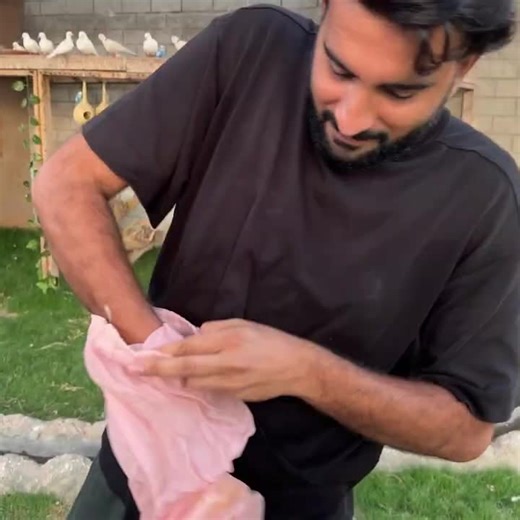 #shehrmaindehat #shehrmaindihat #dailyvlog #fyp