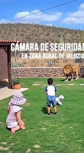 niños jugando a la pelota con su perro tierno momento | EliSabe cositas