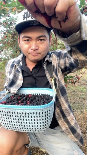 quả gì làm khó được mình đây