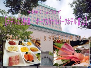 【ホテルぷち動画：オークスカナルパークホテル富山】 #ひとり旅 #roomtour #hotelreview #富山 #オークスカナルパークホテル富山 #富山グルメ #ホテル宿泊記