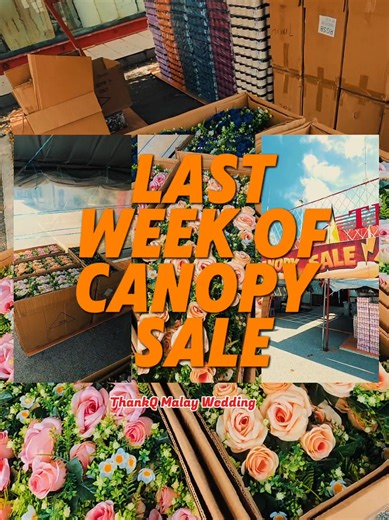 Crazy Canopy 21st Anniversary Sale — Up to 50% Off!