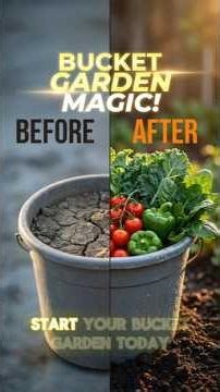 Bucket Gardening 101