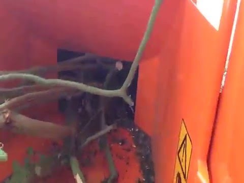 Timberwolf TW 230DHB wood chipper in action