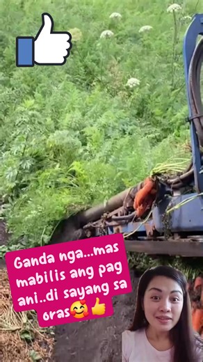 1.5K views · 14 reactions | So amazing machinery殺 #Amazing #machinery #NiceOne #highlight #everyonefollowers | Cindy Manual Ballos | Facebook