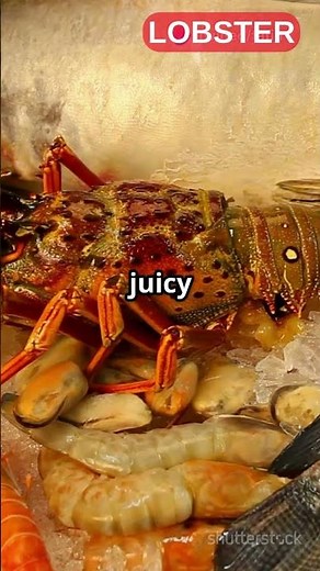 Dropped a Live Lobster into Boiling Water… What Happened Next?