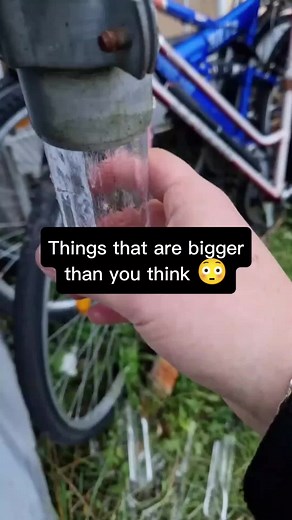 Things that are bigger than you think 😳#fyp #viral #explorer #viralvideo