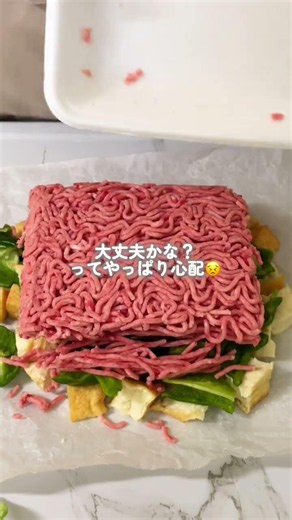 ワンパン15分‼️厚揚げそぼろピーマン🫑 #簡単レシピ #おしゃれごはん #ピーマン