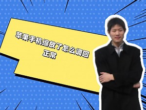 苹果手机缩放了怎么调回正常