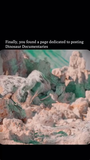 ⏰ 𝗙𝗼𝗹𝗹𝗼𝘄 𝘁𝗼 𝗴𝗼 𝗯𝗮𝗰𝗸 𝗶𝗻 𝘁𝗶𝗺𝗲 on Instagram: "In the frozen wastelands of 66 million years ago, survival wasn’t about finding food — it was about finding water. Many dinosaurs evolved feather-like down to stay warm, but the landscape offered almost nothing to drink. The lakes were poisoned with toxic minerals. One sip meant death. Flies, however, could survive it. By filtering the toxic salts, they thrived where everything else failed. For young dinosaurs, eating flies became th