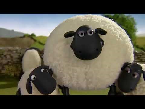 Big Top Timmy _ Shaun the sheep _ season 1 Full Episode