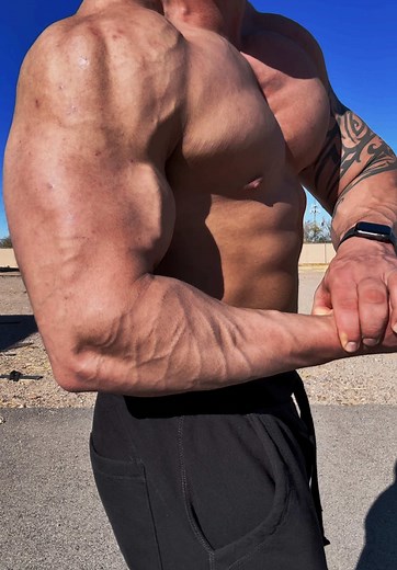 Sitting at 240lbs at 11% and ready to compete next year after one more bulking cycle #bodybuilder #gay #gaytiktok #gayboy #aesthetic #gains #fitnessmotivation #fitnessjourney #loveyou #love #muscle