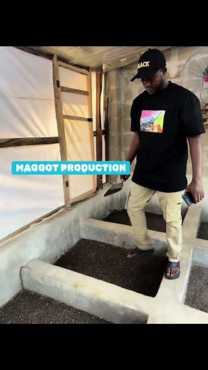 Livestock Feed Production Technology for Farmers in Africa