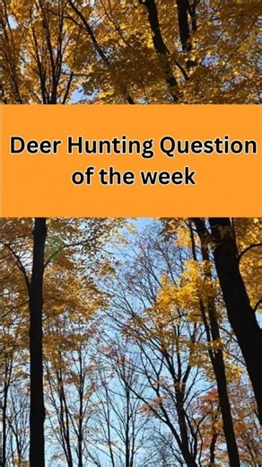 Deer hunting question of the week - Bow Release which is better? #19