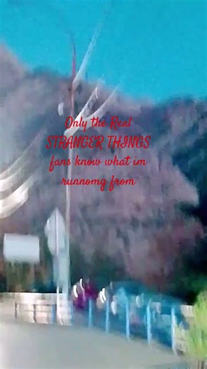 Demo-dog as Dustin whould say🫣