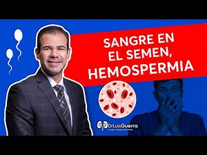 Sangre en el Semen | Qué Hacer Ante la Hemospermia