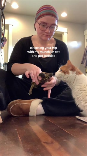 Caring for Your Tortoise: Tips from a Reptile Mom