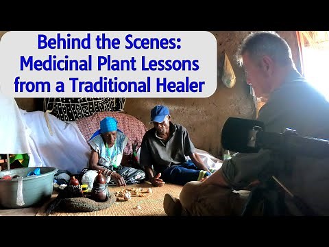 Behind The Scenes: Medicinal Plant Lessons from a Traditional Healer