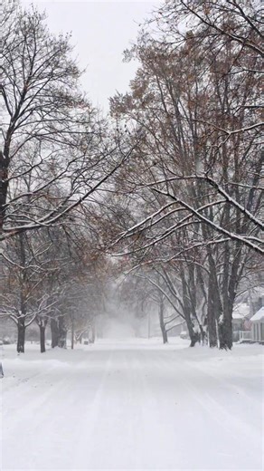 Here's how it looked Saturday afternoon on Janesville's east side near the fairgrounds. Have you been out shoveling or snow blowing yet? | Janesville News Report