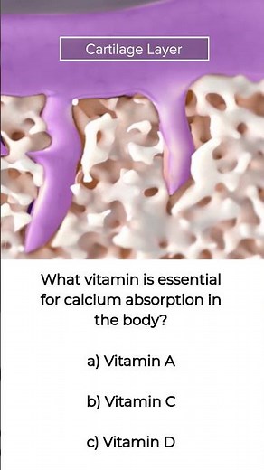 What Vitamin is Essential for Calcium Absorption in the Body?