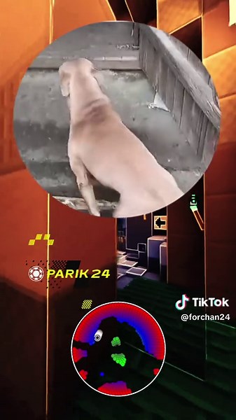 #жарти #гуморукраїнською #смішнівідео #сміх