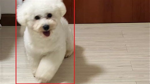 4小时带你手搓yolov3And源码讲解---2