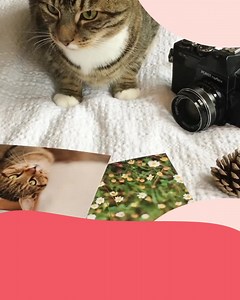 337 reactions · 33 shares | Promoción de 50 fotos GRATIS al mes solo...