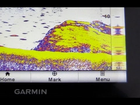 Using electronics to find and catch White Bass.