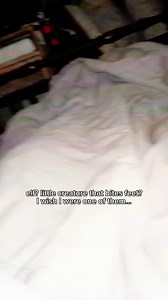 295K views · 2.5K reactions | Gnome sighting captured on film | Wout Company | Facebook