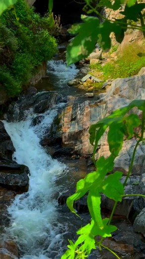 70K views · 3.9K reactions | Flow like water: fearless, persistent, moving forward. #WisdomOfWater 如水般無畏前行，穿透阻礙，始終向前。 #水的智慧 | 江水瑶 | Facebook