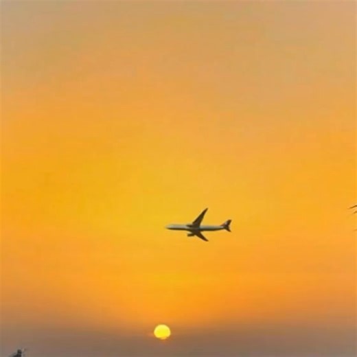 1.1K views | Long travel (>3.5 hours) is associated with developing deep vein thrombosis. Remember to exercise your legs while sitting and getting up to take a brief walk in the aisle of the plane to prevent deep vein thrombosis (DVT). If you develop leg pain or swelling after travel, get evaluated with Doppler ultrasound to exclude DVT. @veintreatmentcenter www.VeinsVeinsVeins.com Phone 716-839-3638 | Vein Treatment Center | Facebook