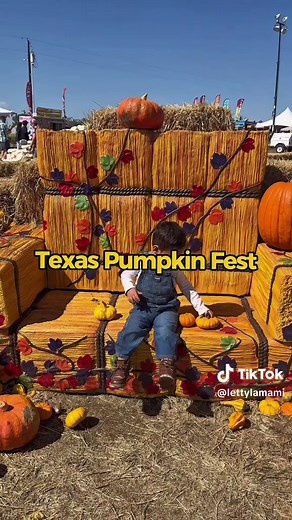 Austin Pumpkin Patches 2026: Top 4 Family Picks Near Austin