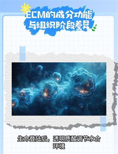 没有ECM就没有高级生命