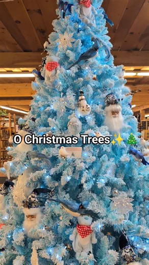 2.3K views · 40 reactions | Our Christmas trees are officially glowing ✨ Step into the holiday warmth and wander the shop before we close for the season Nov 30! | French River Trading Post | Facebook