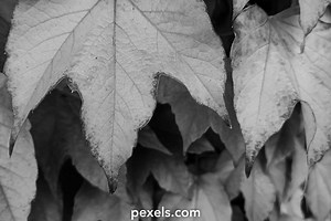 8k Wallpaper 1366x768 Videos, Download The BEST Free 4k Stock Video Footage & 8k Wallpaper 1366x768 HD Video Clips