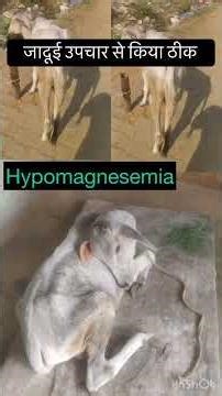 Hypomagnesemia l dr Umar Khan