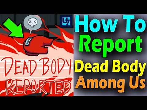 How To Report Among Us