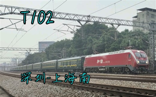 （广深线）HXD1D-0194牵引T102高速通过平湖机位