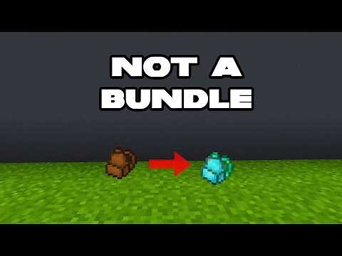 I Solved Minecrafts Inventory Problem