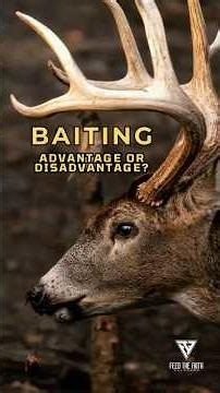 Will baiting change this season? #foodplots #deerhunting #huntingseason #howtohunt #deerseason