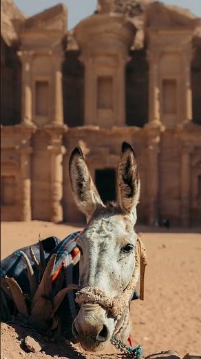 Al Khazneh : The Rose City ,Treasury and Monastery of Petra